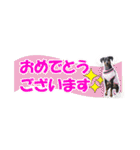 ミニピン 省スペース スタンプ（個別スタンプ：34）