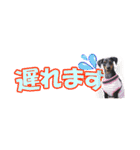 ミニピン 省スペース スタンプ（個別スタンプ：35）