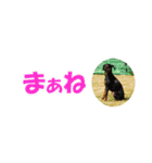 ミニピン 省スペース スタンプ（個別スタンプ：37）