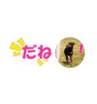 ミニピン 省スペース スタンプ（個別スタンプ：38）