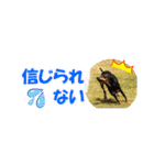 ミニピン 省スペース スタンプ（個別スタンプ：40）