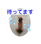 84Family❸（個別スタンプ：6）
