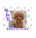 HappyBathPepのお友達E（個別スタンプ：1）