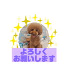 HappyBathPepのお友達E（個別スタンプ：4）