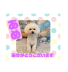 HappyBathPepのお友達E（個別スタンプ：5）