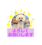 HappyBathPepのお友達E（個別スタンプ：8）