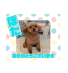 HappyBathPepのお友達E（個別スタンプ：9）