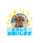 HappyBathPepのお友達E（個別スタンプ：12）
