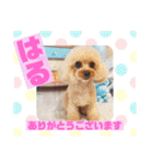 HappyBathPepのお友達E（個別スタンプ：13）