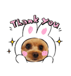 HappyBathPepのお友達E（個別スタンプ：15）