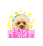 HappyBathPepのお友達E（個別スタンプ：16）