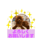 HappyBathPepのお友達E（個別スタンプ：20）