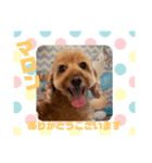 HappyBathPepのお友達E（個別スタンプ：21）