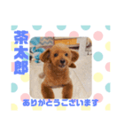 HappyBathPepのお友達E（個別スタンプ：25）