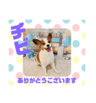HappyBathPepのお友達E（個別スタンプ：29）
