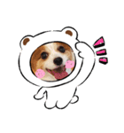 HappyBathPepのお友達E（個別スタンプ：31）