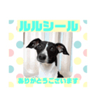 HappyBathPepのお友達E（個別スタンプ：37）
