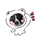 HappyBathPepのお友達E（個別スタンプ：39）