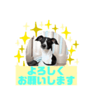 HappyBathPepのお友達E（個別スタンプ：40）