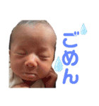 てつげんスタンプ（個別スタンプ：10）