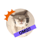 ハロー！こちらMARUです。（個別スタンプ：6）