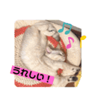ハロー！こちらMARUです。（個別スタンプ：9）