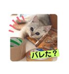 ハロー！こちらMARUです。（個別スタンプ：10）
