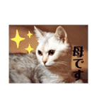 ハロー！こちらMARUです。（個別スタンプ：12）