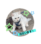 ハロー！こちらMARUです。（個別スタンプ：14）