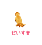 ダックスフンド日常stamp（個別スタンプ：14）