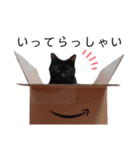 表情豊かな黒猫びびちゃんスタンプ2（個別スタンプ：4）