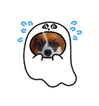 パピヨンすたんぷ2（個別スタンプ：13）