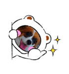 パピヨンすたんぷ2（個別スタンプ：32）
