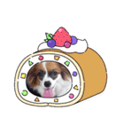 パピヨンすたんぷ2（個別スタンプ：37）