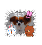 パピヨンすたんぷ2（個別スタンプ：38）