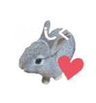 うさぎのウメちゃんスタンプ（個別スタンプ：7）