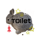 うさぎのウメちゃんスタンプ（個別スタンプ：11）