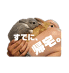 うさぎのウメちゃんスタンプ（個別スタンプ：14）