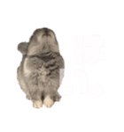 うさぎのウメちゃんスタンプ（個別スタンプ：15）