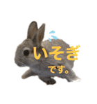 うさぎのウメちゃんスタンプ（個別スタンプ：22）