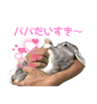 うさぎのウメちゃんスタンプ（個別スタンプ：35）