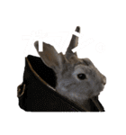 うさぎのウメちゃんスタンプ（個別スタンプ：39）