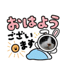毛皮族のスタンプversion2.0（個別スタンプ：2）