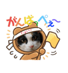 毛皮族のスタンプversion2.0（個別スタンプ：15）