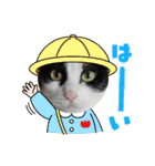 毛皮族のスタンプversion2.0（個別スタンプ：16）