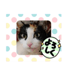 毛皮族のスタンプversion2.0（個別スタンプ：18）