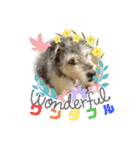 毛皮族のスタンプversion2.0（個別スタンプ：20）