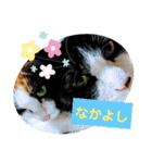 毛皮族のスタンプversion2.0（個別スタンプ：25）