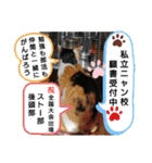 毛皮族のスタンプversion2.0（個別スタンプ：34）