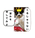 毛皮族のスタンプversion2.0（個別スタンプ：35）